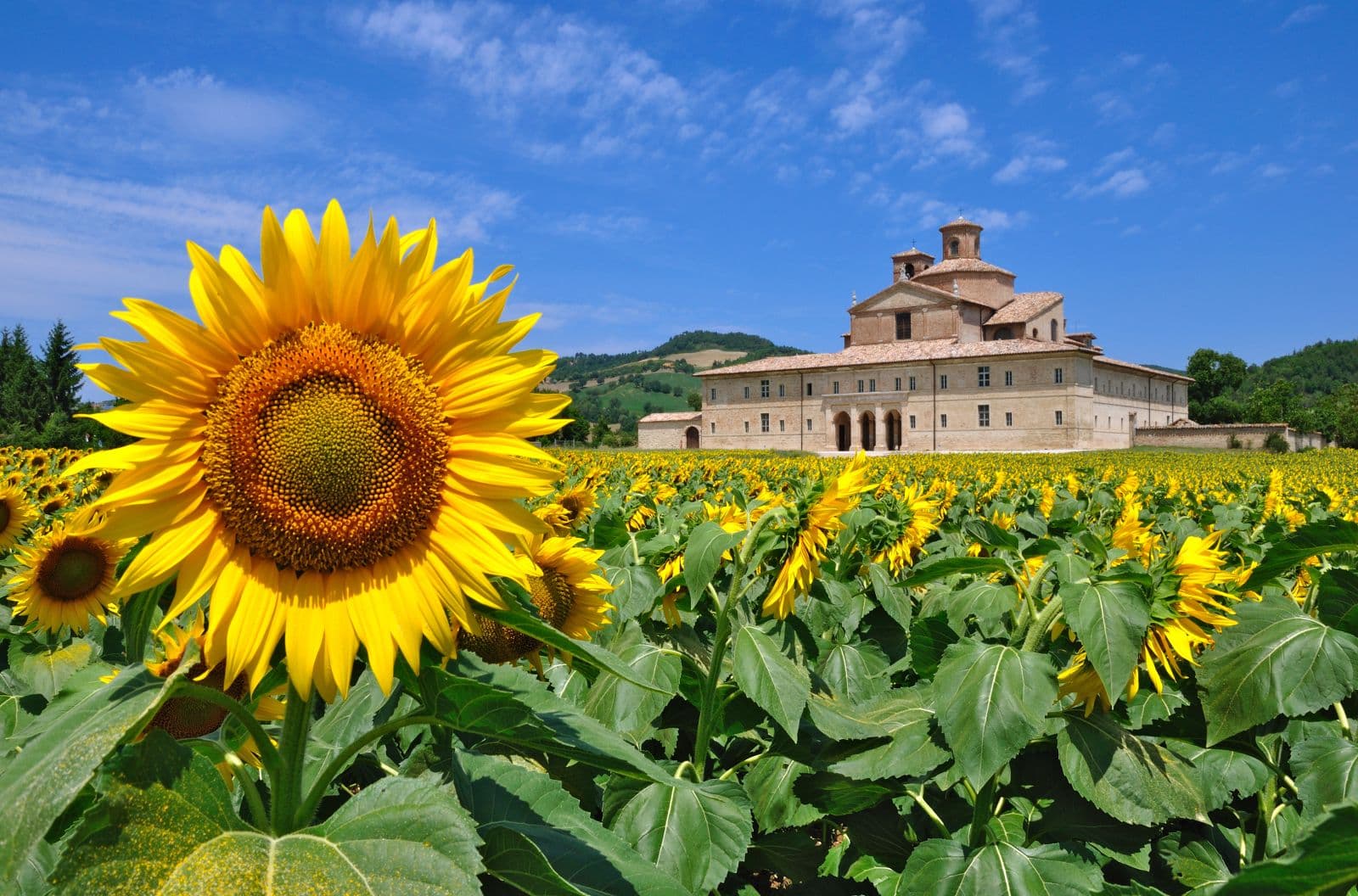 Le Marche