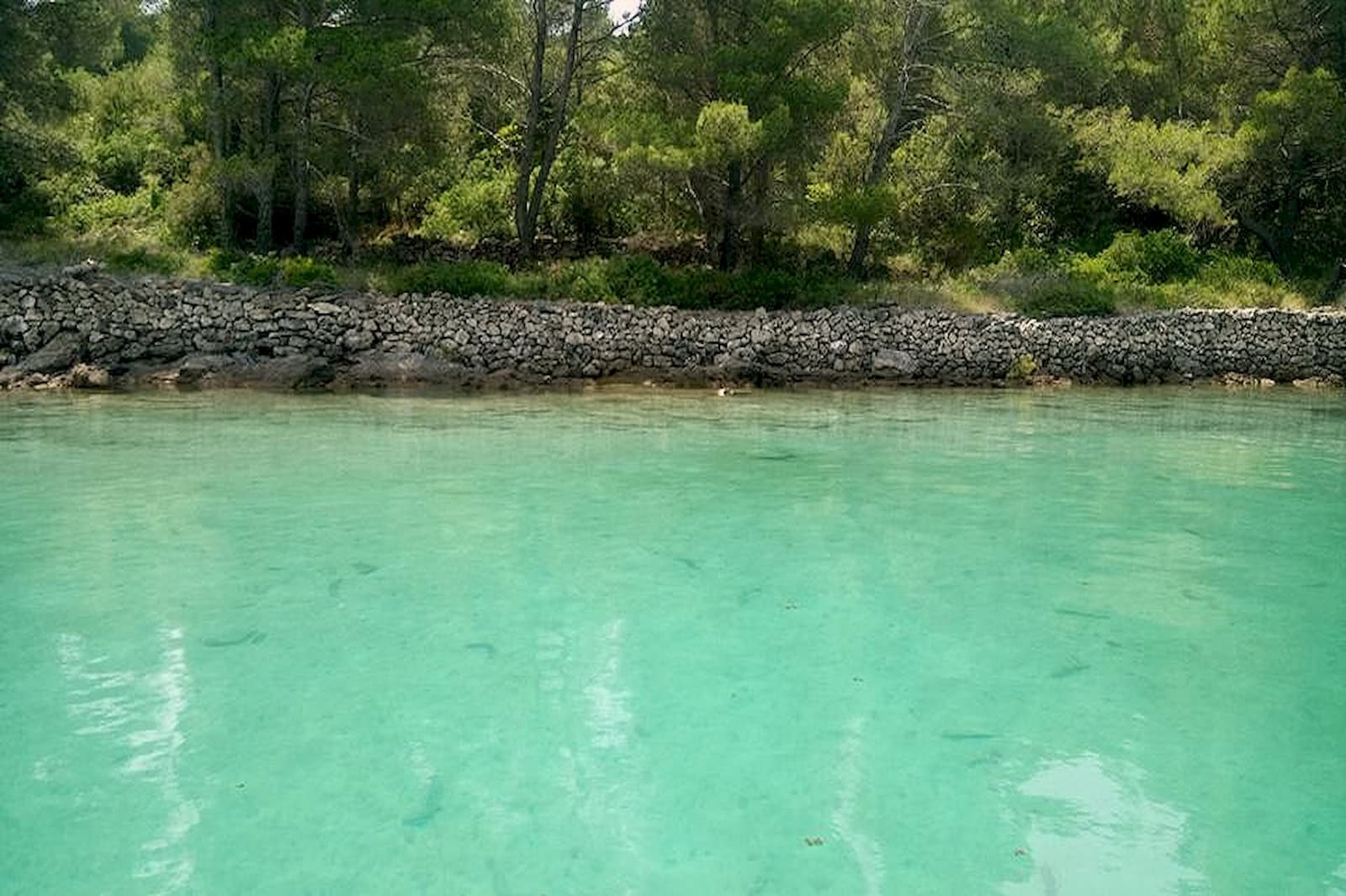 Foto 9
