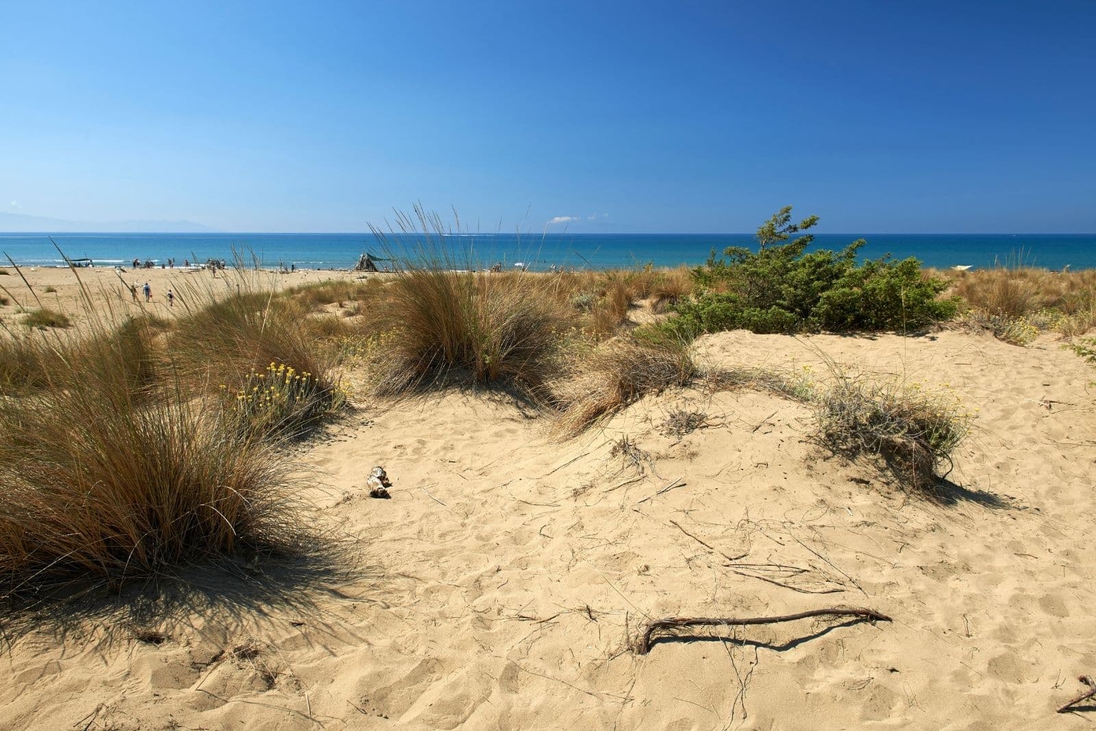 Beach & Sea