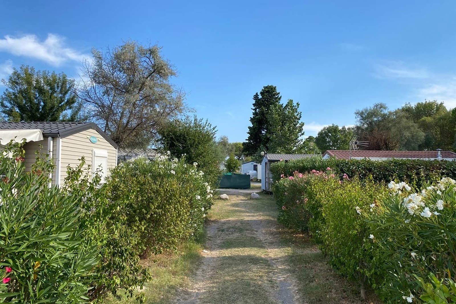 Vetturi & Parkeġġ