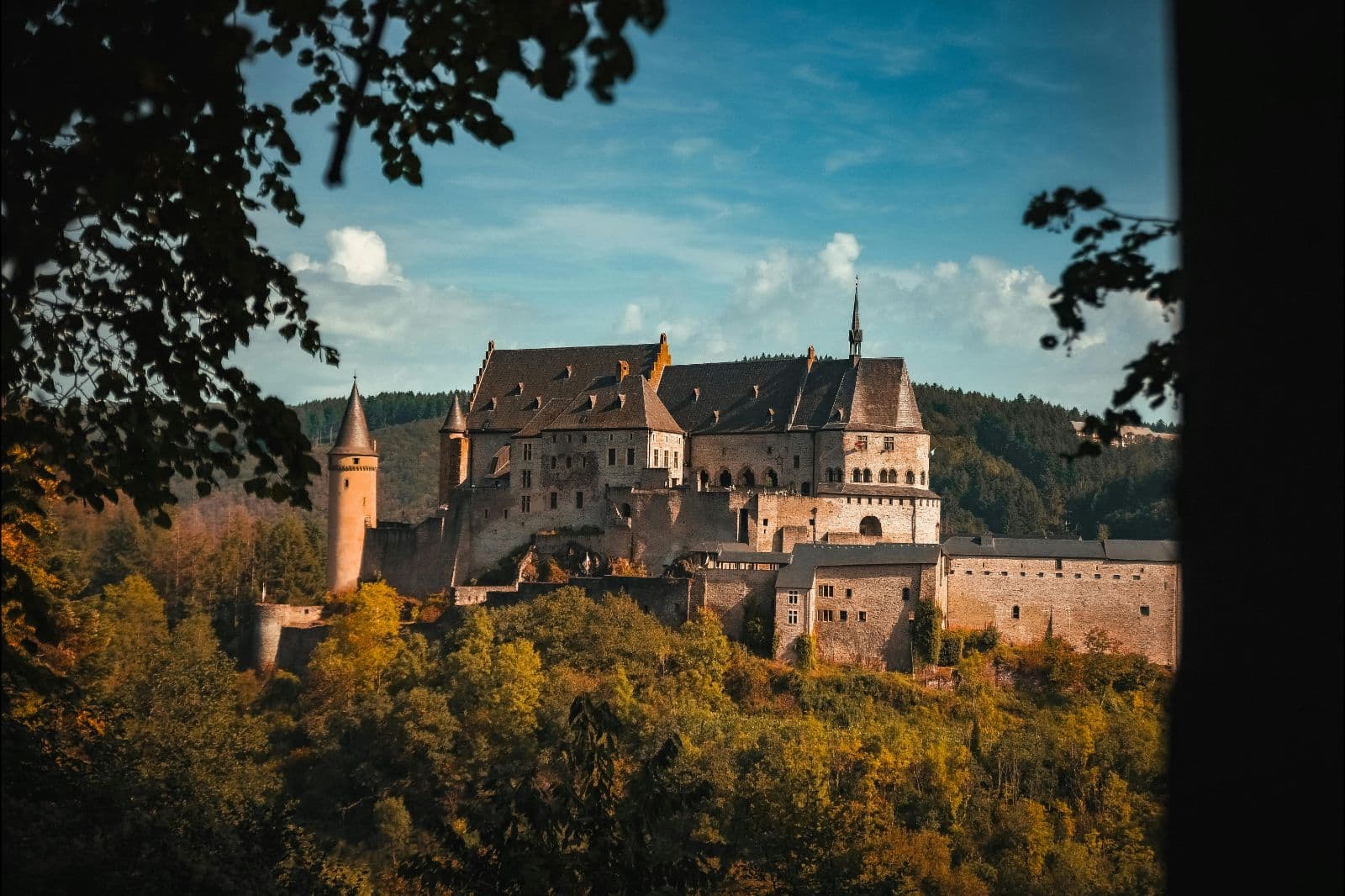 In der Nähe