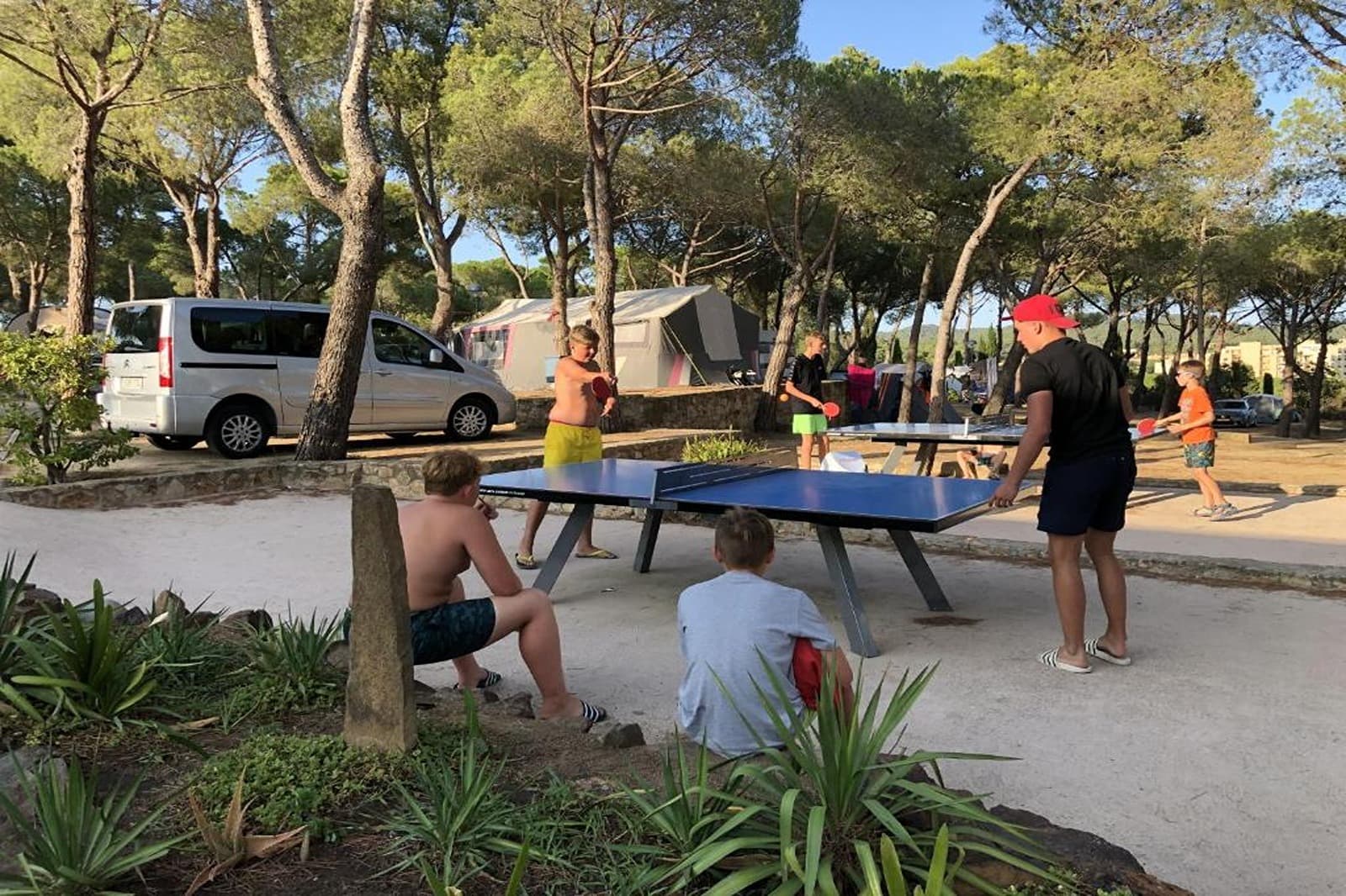 Sport i aktywności