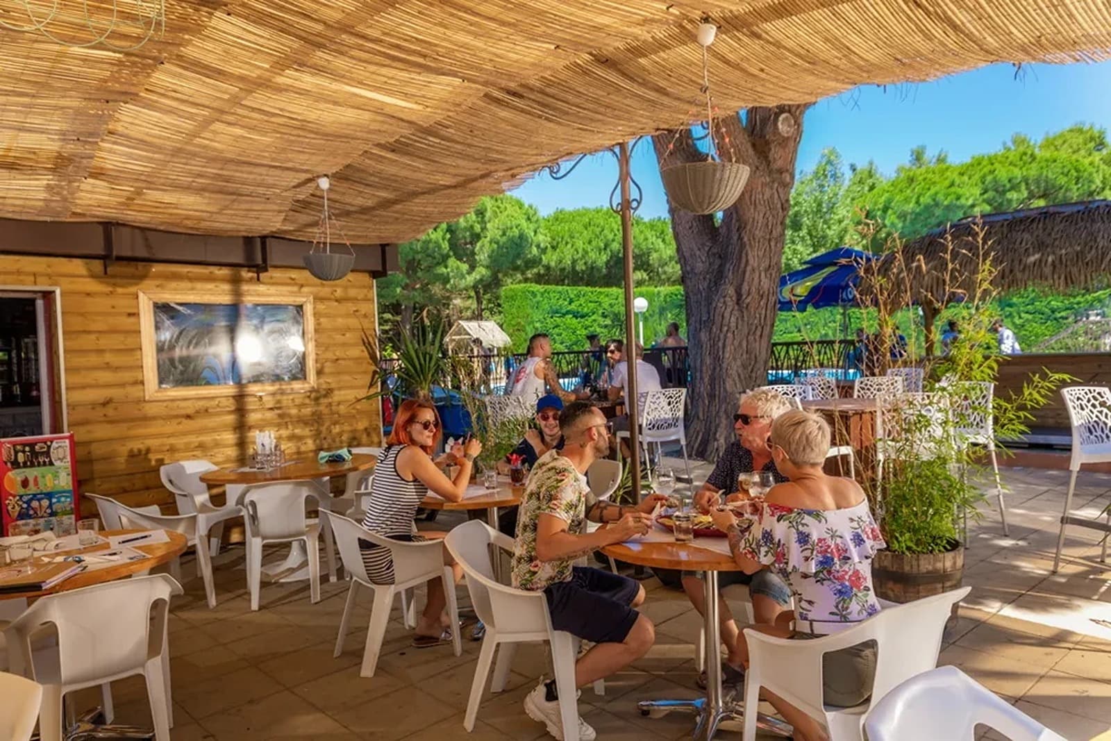 Food & Beverage Options