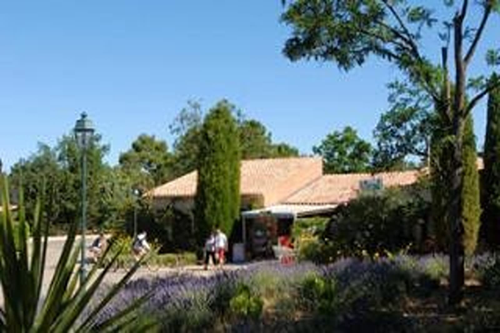 Foto 8