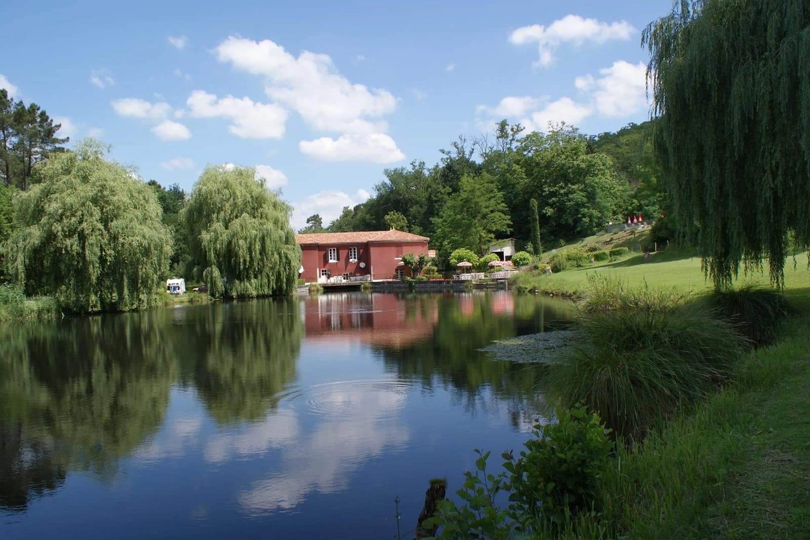 Foto 2