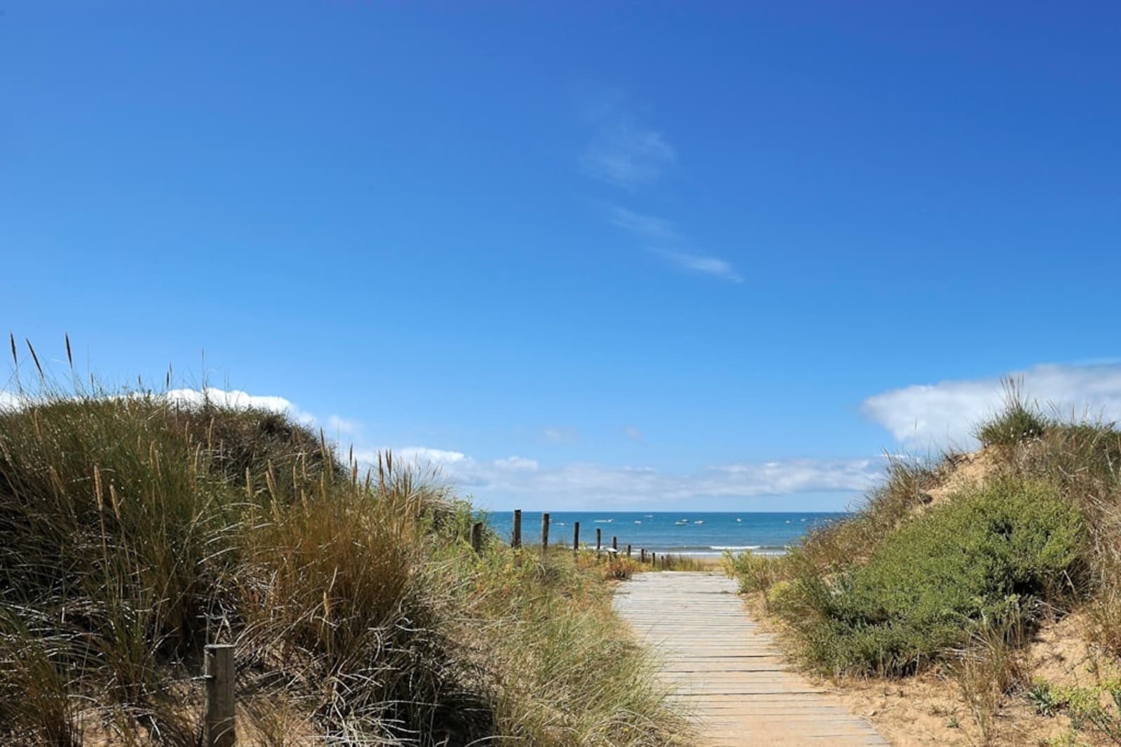 Playa y mar