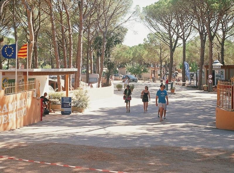 Veicoli & Parcheggio