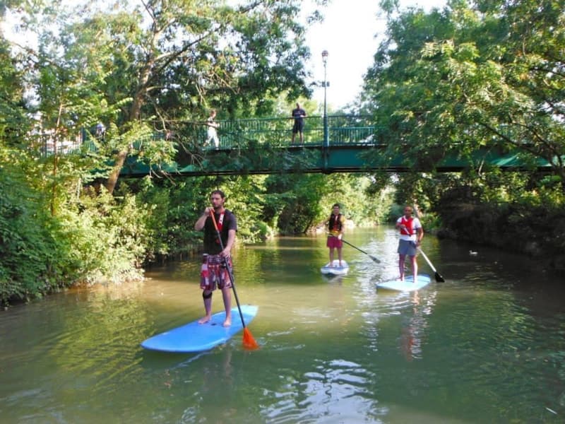 Deportes acuáticos