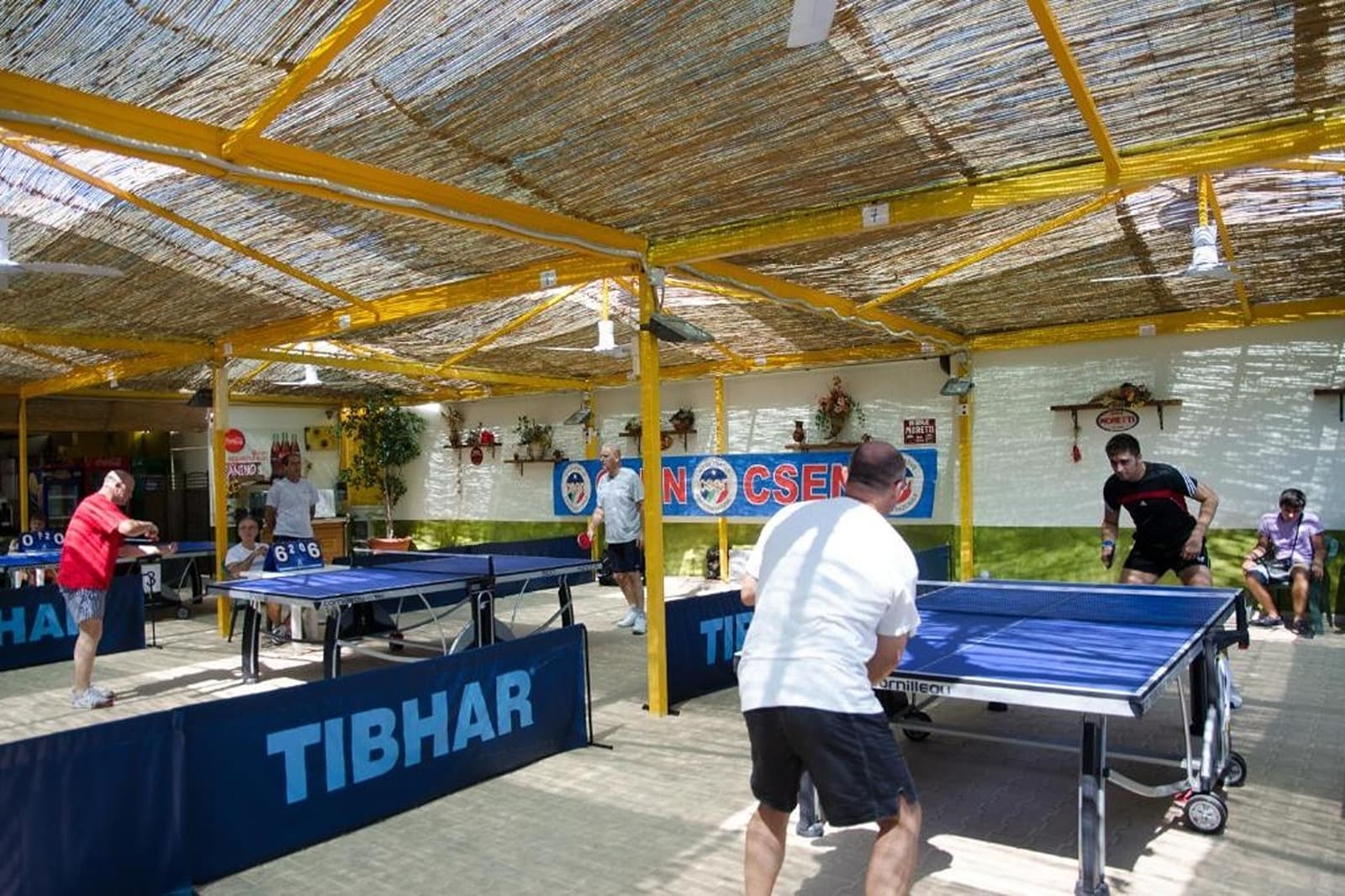 Activities & Sports