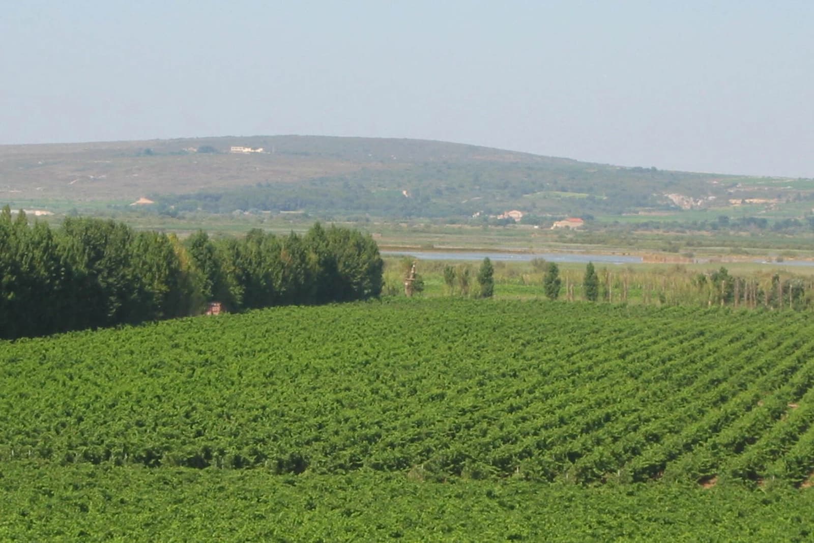Le Domaine La Yole , Occitanie, France – 9