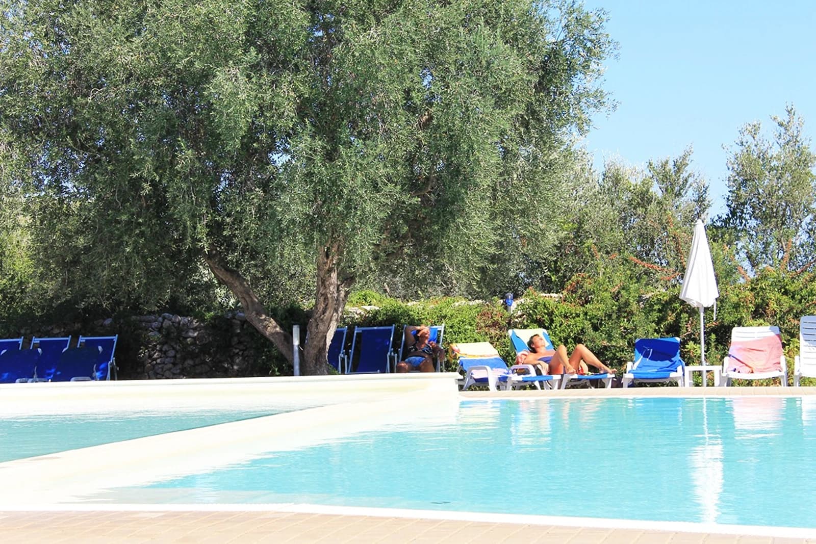 Porto Cesareo Camping, Puglia
Welkom in Puglia, het hart van Zuid-Italië! Hier vind je de mooiste stranden van het land, charmante dorpjes met wit gekalkte huizen en een rijke geschiedenis die je terug voert tot de Romeinen. Perfect voor gezinnen die willen genieten van zon, zee en authentieke Italiaanse cultuur.
Waarom Puglia ideaal is voor gezinsvakanties:
- Lange, zandige stranden waar kinderen veilig kunnen spelen
- Warme, ondiepe wateren perfect voor zwemmers van alle leeftijden
- Gezellige familierestaurants met heerlijke lokale gerechten
- Veel activiteiten voor jong en oud: snorkelen, fietsen en kastelen verkennen
De perfecte Puglia-ervaring begint hier. Boek nu je camping!
Witaj w Apulii, sercu południowych Włoch! Tutaj znajdziesz najpiękniejsze plaże w kraju, urocze wioski z białymi domkami i bogatą historię sięgającą czasów rzymskich. Idealne dla rodzin, które chcą cieszyć się słońcem, morzem i autentyczną włoską kulturą.
Dlaczego Apulia jest idealna na rodzinne wakacje:
- Długie, piaszczyste plaże, gdzie dzieci mogą bezpiecznie się bawić
- Ciepłe, płytkie wody idealne dla pływaków każdego wieku
- Przytulne restauracje rodzinne z przepysznymi lokalnymi daniami
- Wiele atrakcji dla dużych i małych: snorkeling, jazda na rowerze i odkrywanie zamków
Idealne doświadczenie Apulii zaczyna się tutaj. Zarezerwuj teraz swój kemping!, Włochy – 3