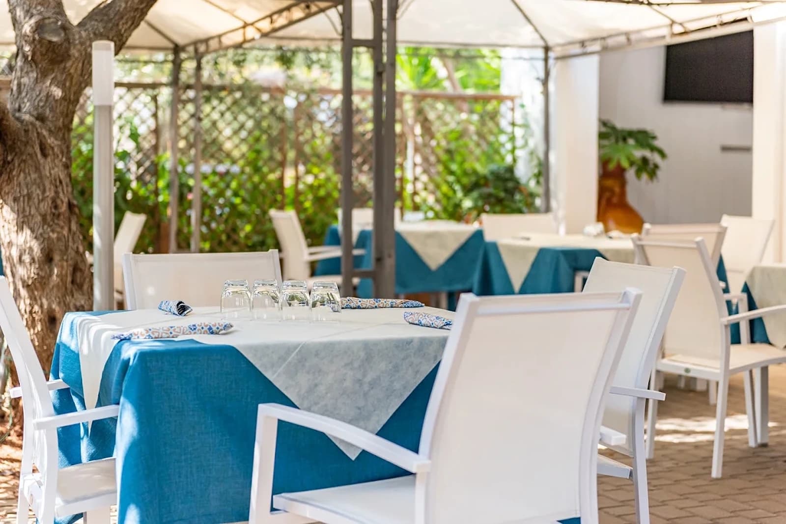 Porto Cesareo Camping, Puglia
Welkom in Puglia, het hart van Zuid-Italië! Hier vind je de mooiste stranden van het land, charmante dorpjes met wit gekalkte huizen en een rijke geschiedenis die je terug voert tot de Romeinen. Perfect voor gezinnen die willen genieten van zon, zee en authentieke Italiaanse cultuur.
Waarom Puglia ideaal is voor gezinsvakanties:
- Lange, zandige stranden waar kinderen veilig kunnen spelen
- Warme, ondiepe wateren perfect voor zwemmers van alle leeftijden
- Gezellige familierestaurants met heerlijke lokale gerechten
- Veel activiteiten voor jong en oud: snorkelen, fietsen en kastelen verkennen
De perfecte Puglia-ervaring begint hier. Boek nu je camping!
Witaj w Apulii, sercu południowych Włoch! Tutaj znajdziesz najpiękniejsze plaże w kraju, urocze wioski z białymi domkami i bogatą historię sięgającą czasów rzymskich. Idealne dla rodzin, które chcą cieszyć się słońcem, morzem i autentyczną włoską kulturą.
Dlaczego Apulia jest idealna na rodzinne wakacje:
- Długie, piaszczyste plaże, gdzie dzieci mogą bezpiecznie się bawić
- Ciepłe, płytkie wody idealne dla pływaków każdego wieku
- Przytulne restauracje rodzinne z przepysznymi lokalnymi daniami
- Wiele atrakcji dla dużych i małych: snorkeling, jazda na rowerze i odkrywanie zamków
Idealne doświadczenie Apulii zaczyna się tutaj. Zarezerwuj teraz swój kemping!, Włochy – 6
